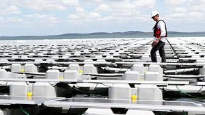 A usina solar | Saulo Cruz / Ministério de Minas e Energia