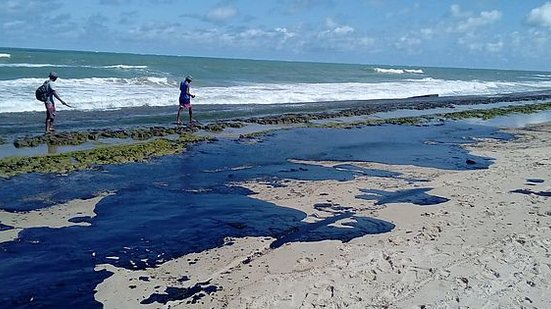 Petróleo encontrado em Coruripe, Alagoas, na semana passada | Instituto Biota de Conservação