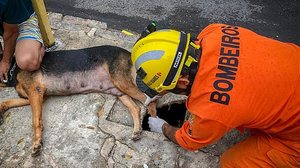 Divulgação/Corpo de Bombeiros de Alagoas