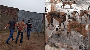 Imagem Suspeito de estelionato dá golpe de R$ 400 mil e deixa inacabada obra de sede de entidade que acolhe animais