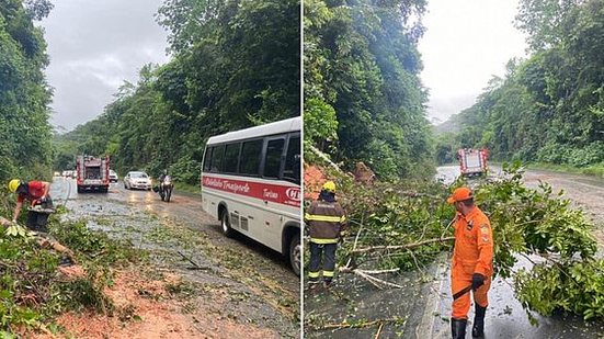 Imagem Interior: rios transbordam, barreiras caem e cidades ficam alagadas em várias regiões de Alagoas