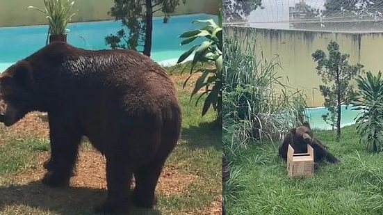 Reprodução / Zoológico de Goiânia