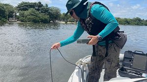 Imagem Pesquisadores da Ufal fazem coleta de água da Lagoa Mundaú para análise em laboratório