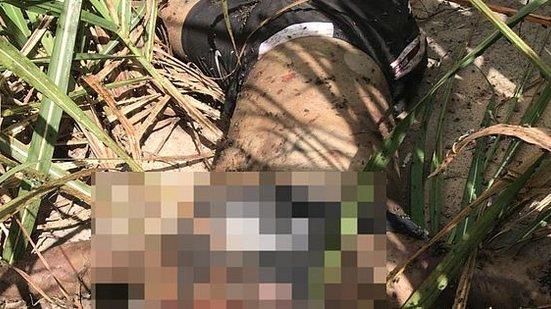 Imagem Adolescente é morto a pauladas e corpo é encontrado em canavial em Teotônio Vilela