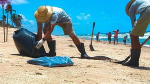 Trabalho de limpeza de praia feito por colaboradores do IMA em outubro | IMA