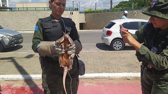 Foto: Divulgação/Ronda no Bairro