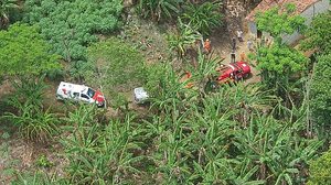 Buscas aocntecem na Serra dos Frios, em União dos Palmares | Foto: Cortesia / Ascom Bombeiros