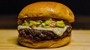 Embrapa desenvolve Novo Burger, um hambúrguer sem proteína animal, feito com fibra de caju e proteína de soja | Divulgação/Embrapa