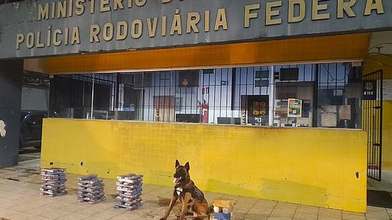 Com a atuação do cão farejador, o Logam, a droga foi encontrada na cabine da carreta | Foto: Cortesia / 3º BPM