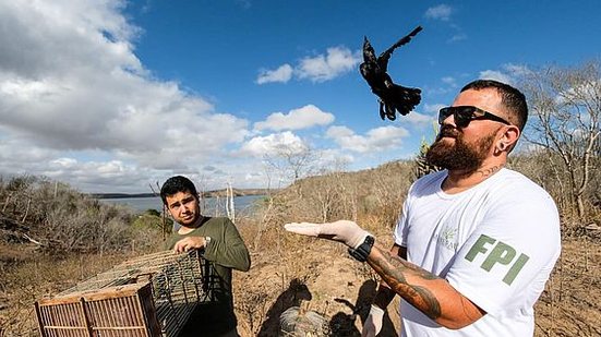 Ao todo, foram 323 aves e 20 jabutis devolvidos à caatinga | Jonathan Lins