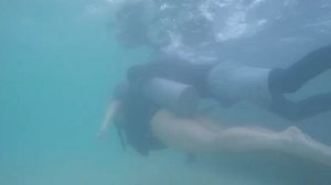 O crime teria ocorrido em um mergulho nas piscinas naturais de Maragogi, Litoral Norte de Alagoas | Divulgação/Ascom PC-AL