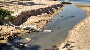 Imagem Sedet autua Casal por lançamento de esgoto na praia