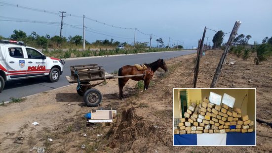 Imagem Mais de 50 kg de drogas são apreendidas em grota no Benedito Bentes