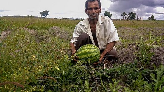 Ao todo, 27 mil agricultores de 34 municípios de Alagoas aderiram ao Garantia-Safra, junto à Seagri e ao Ministério da Agricultura. | Foto: Arquivo Seagri