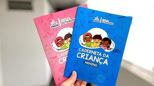 Ferramenta acompanha o desenvolvimento infantil | Foto: Reprodução/Ascom SMS