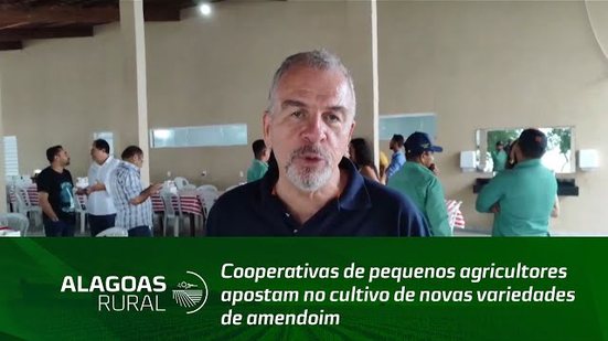 Cooperativas de pequenos agricultores apostam no cultivo de novas variedades de amendoim