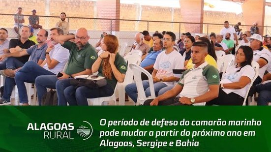 Período de defeso do camarão marinho pode mudar a partir do próximo ano em Alagoas, Sergipe e Bahia