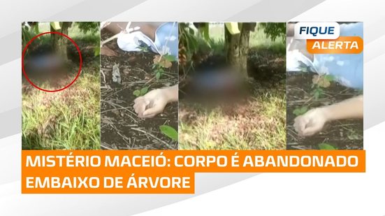 Homem é morto e corpo é abandonado embaixo de árvore, em Maceió