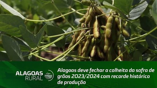 Alagoas deve fechar a colheita da safra de grãos 2023/2024 com recorde histórico de produção