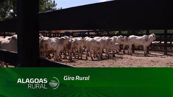 Giro Rural