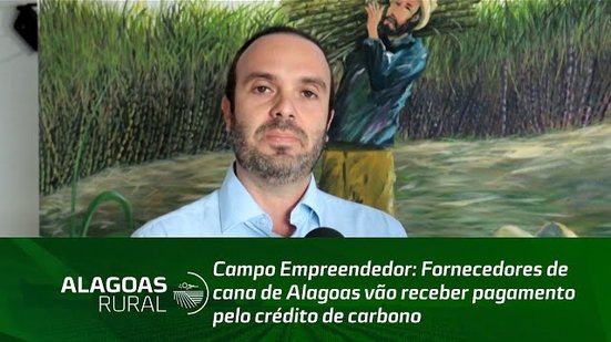 Campo Empreendedor: Fornecedores de cana de Alagoas vão receber pagamento pelo crédito de carbono