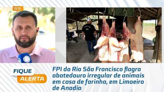 FPI do Rio São Francisco flagra abatedouro irregular de animais em casa de farinha, em Anadia