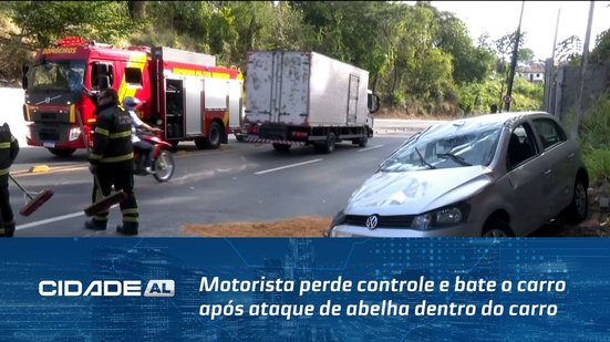 Motorista perde controle e bate o carro após ataque de abelha dentro do carro