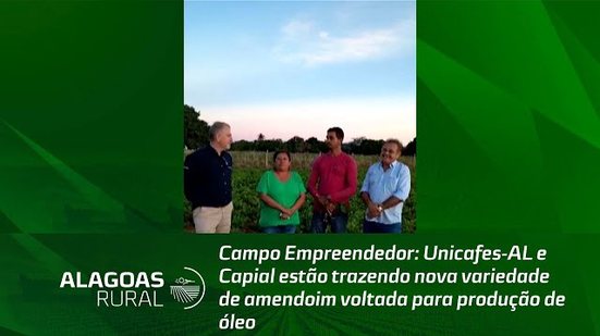 Unicafes-AL e Capial estão trazendo nova variedade de amendoim voltada para produção de óleo