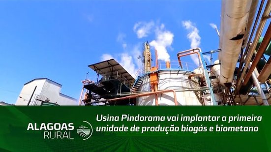 Usina Pindorama vai implantar a primeira unidade de produção biogás e biometano