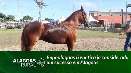 Expoalagoas Genética já considerada um sucesso em Alagoas