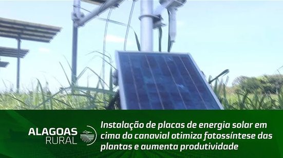 Instalação de placas de energia solar otimiza fotossíntese das plantas e aumenta produtividade