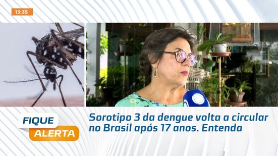 Sorotipo 3 da dengue volta a circular no Brasil após 17 anos. Entenda