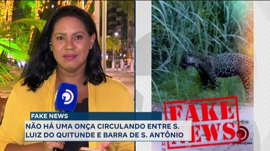 Não há onça circulando entre São Luiz do Quitunde e Barra de Santo Antônio