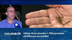 Hélvio Auto atendeu 1.799 pacientes picados por escorpiões; veja como se proteger