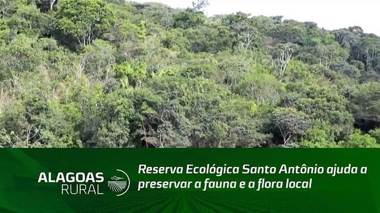 Reserva Ecológica Santo Antônio ajuda a preservar a fauna e a flora local