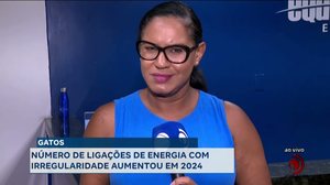 Gatos: Número de ligações de energia com irregularidade aumentou em 2024