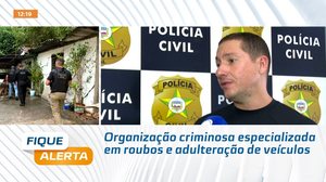 Organização criminosa especializada em roubos e adulteração de veículos