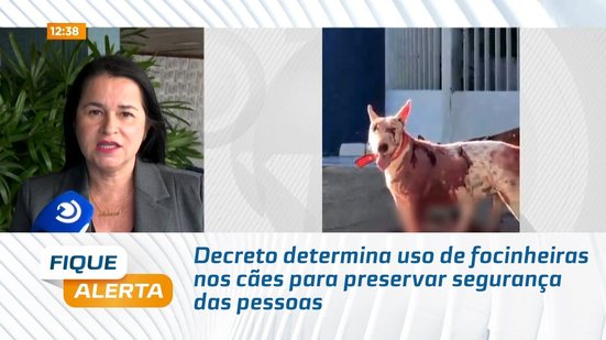 Decreto determina uso de focinheiras nos cães para preservar segurança das pessoas