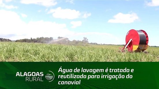 Água de lavagem é tratada e reutilizada para irrigação do canavial