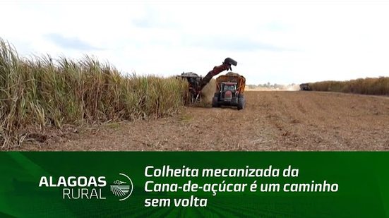 Colheita mecanizada da Cana-de-açúcar é um caminho sem volta