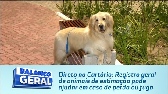 Direto no Cartório: Registro geral de animais de estimação pode ajudar em caso de perda ou fuga