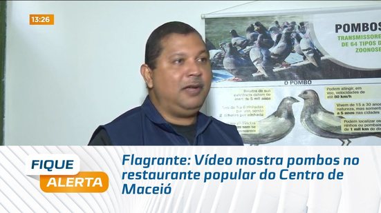 Flagrante: Vídeo mostra pombos no restaurante popular do Centro de Maceió