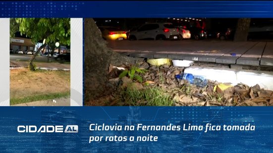 Flagrante! Ciclovia na Fernandes Lima fica tomada por ratos a noite