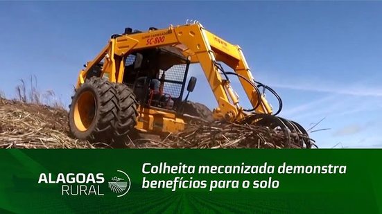 Campo Empreendedor: Colheita mecanizada demonstra benefícios para o solo