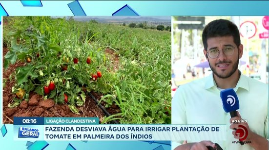 Ligação Clandestina: Fazenda Desviava água para irrigar plantação de tomate em Palmeira dos Índios