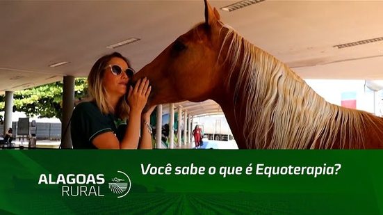 Você sabe o que é Equoterapia?