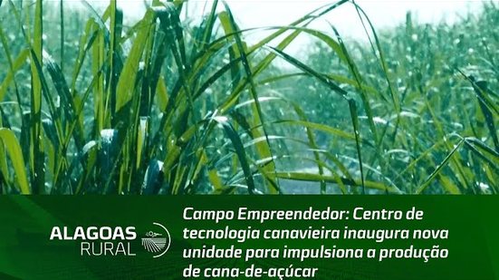 Centro de tecnologia canavieira inaugura nova unidade para impulsiona a produção de cana-de-açúcar