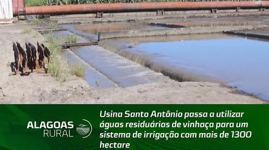 Usina Santo Antônio passa a utilizar águas residuárias de vinhaça para um sistema de irrigação