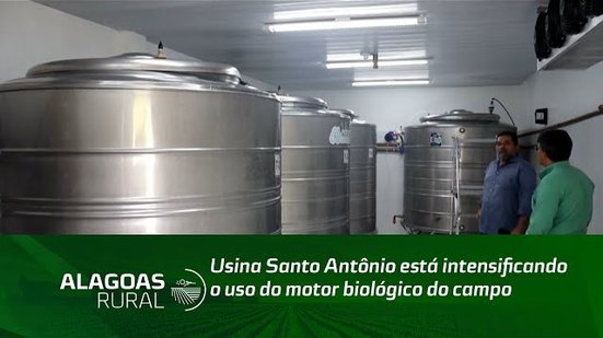 Usina Santo Antônio está intensificando o uso do motor biológico do campo