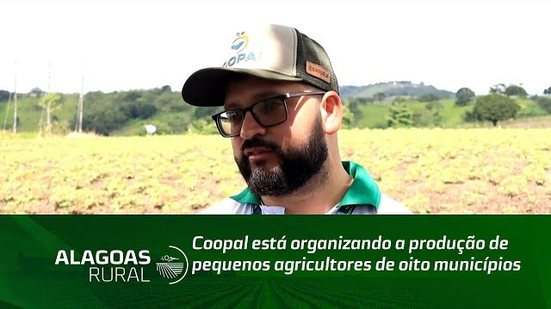 Coopal está organizando a produção de pequenos agricultores de oito municípios